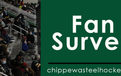 Fan Survey